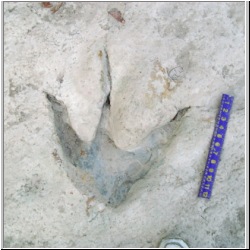 100_0344 (2009-25-07)m.JPG